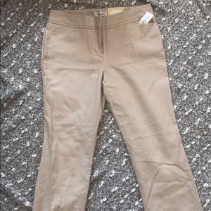 NWT dressbarn straight pants sz 6